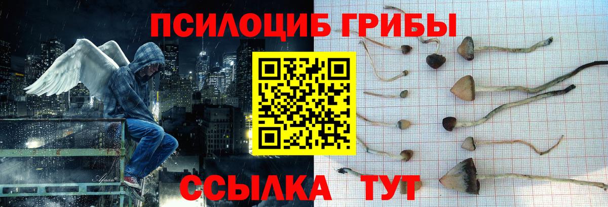 что такое наркотик  Псилоцибиновые грибы ЛСД  Вход с VPN  Жигулёвск 