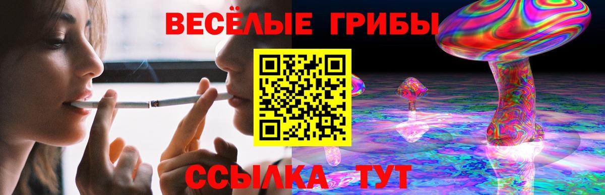 Галлюциногенные грибы Cubensis Жигулёвск
